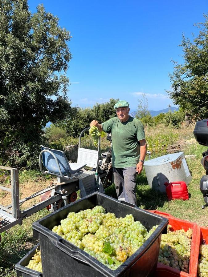 I Tre Grappoli Villa Corniglia Bagian luar foto