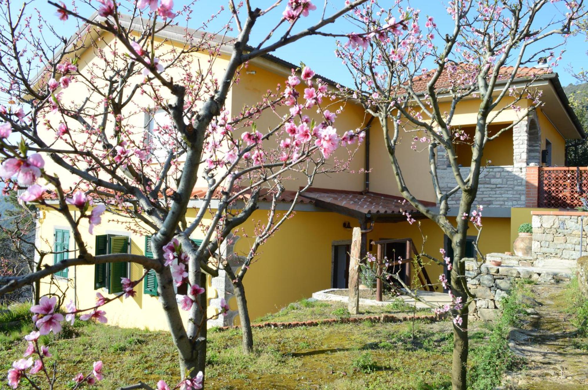 I Tre Grappoli Villa Corniglia Bagian luar foto