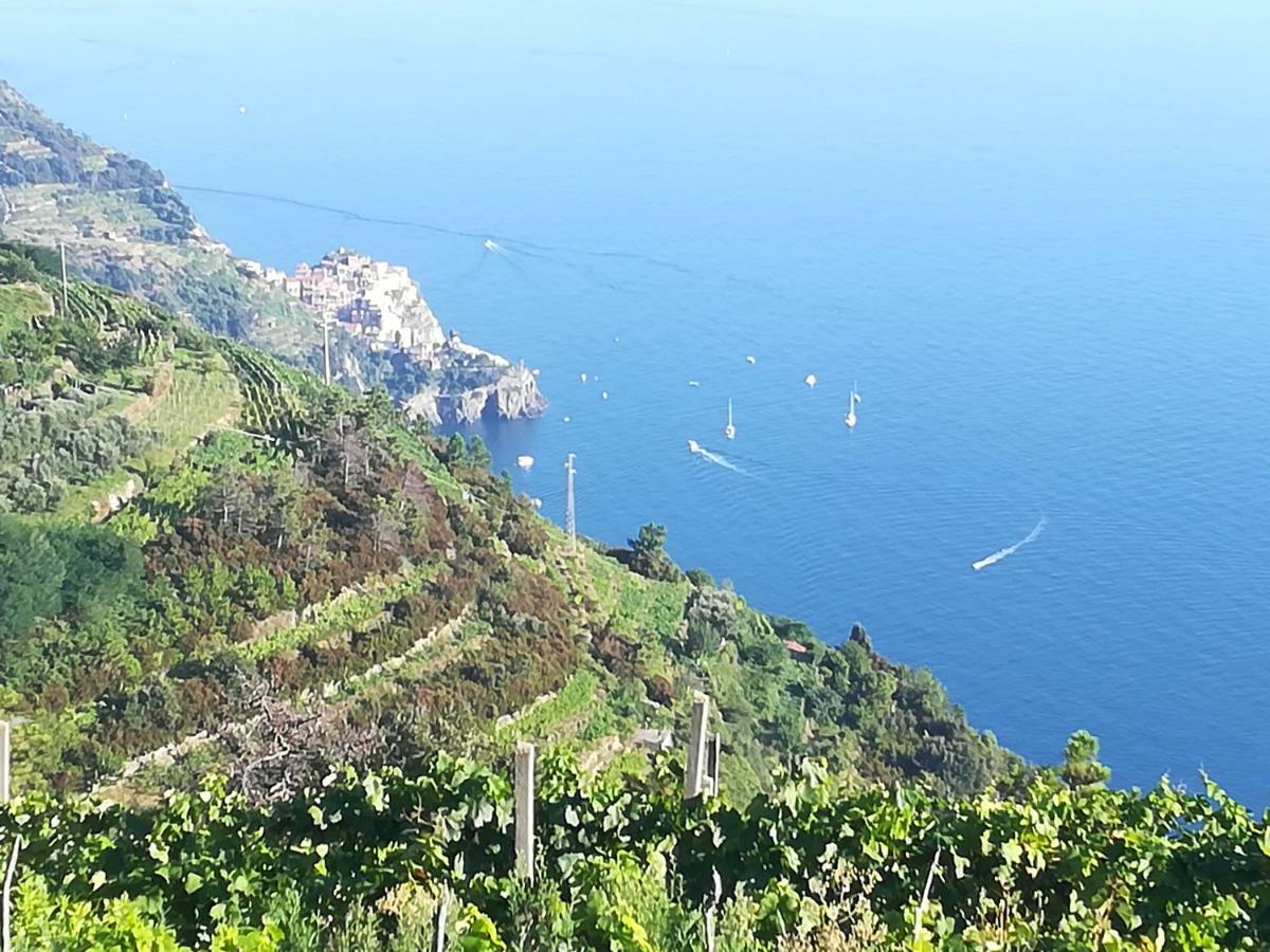 I Tre Grappoli Villa Corniglia Bagian luar foto